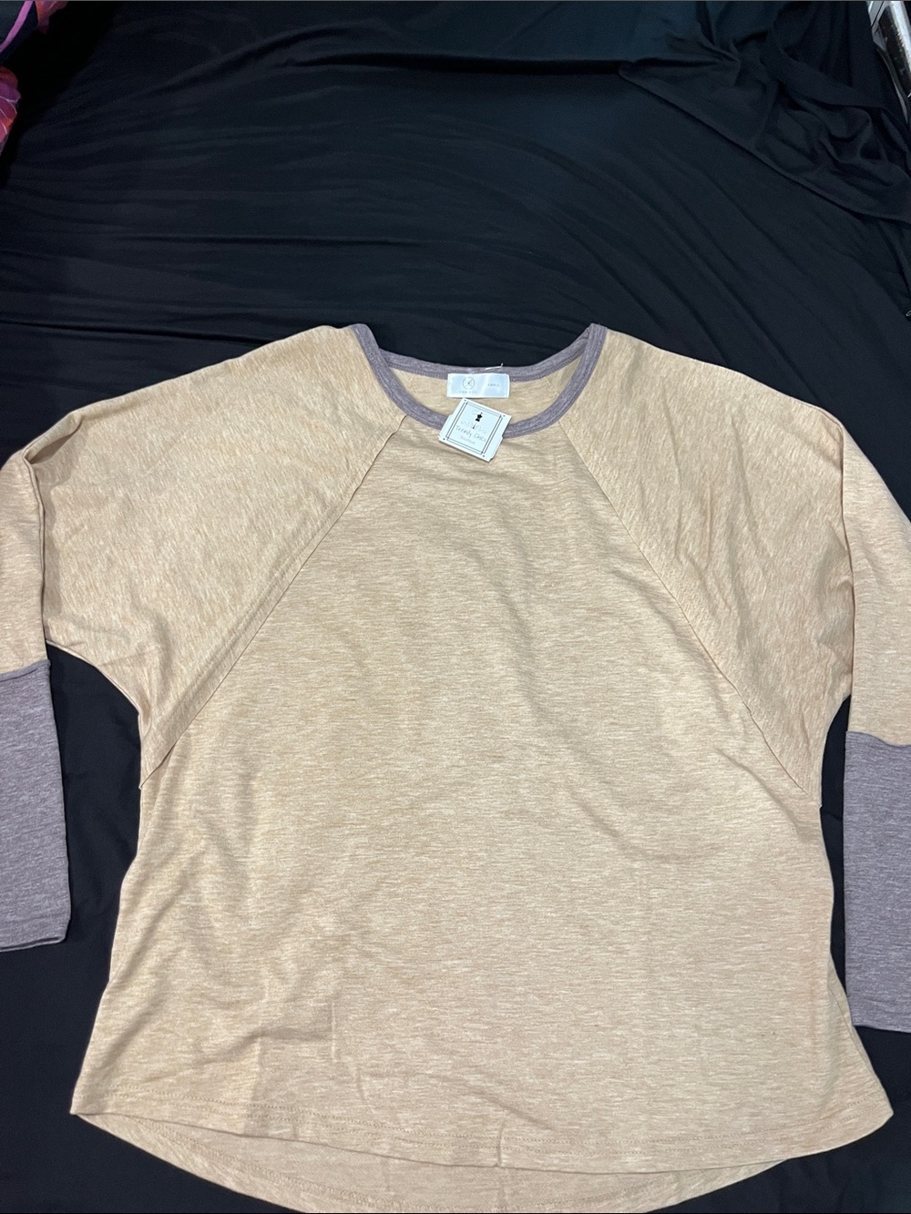 LIAM & Co Neutral Beige  Tee with Heathered Gray Trim ladies shirt small NWT